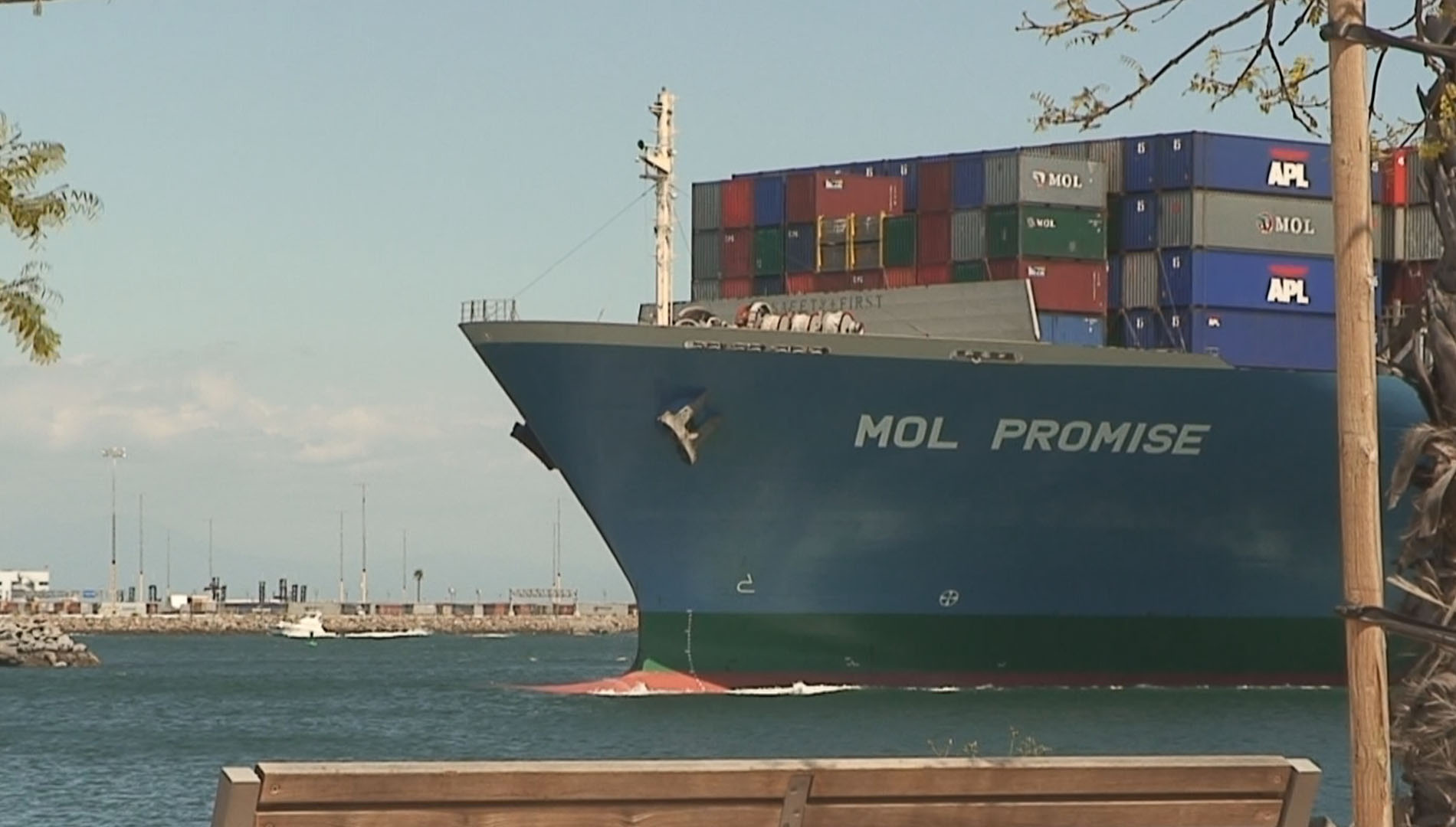 MOL Promise